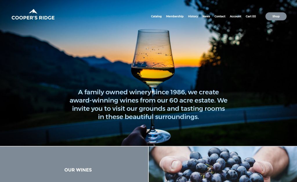 Wine websites 2024