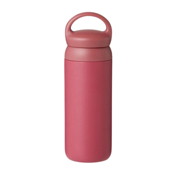 Travel Flask with Handle 17oz