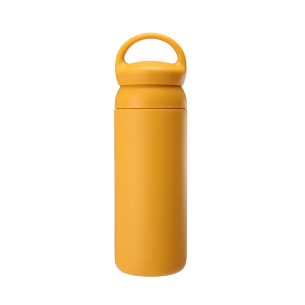 Travel Flask with Handle 17oz