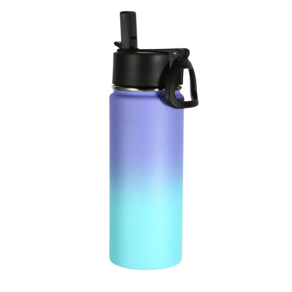 Wide-Mouth Insulated Bottle 16oz