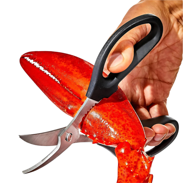 Stainless Steel Seafood Scissors