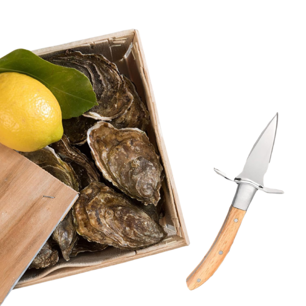 Oyster & Shellfish Shucking Knife #2