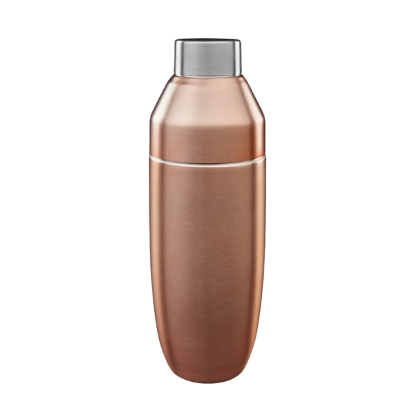 22oz. Double Wall Insulated Cocktail Shaker