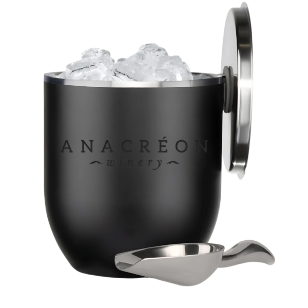 3L Insulated Ice bucket with Lid and Scoop