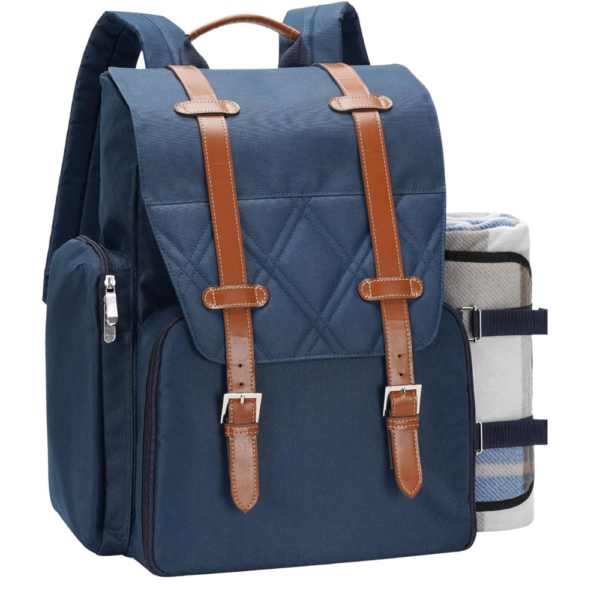 4-Person Insulated Cooler Picnic Backpack