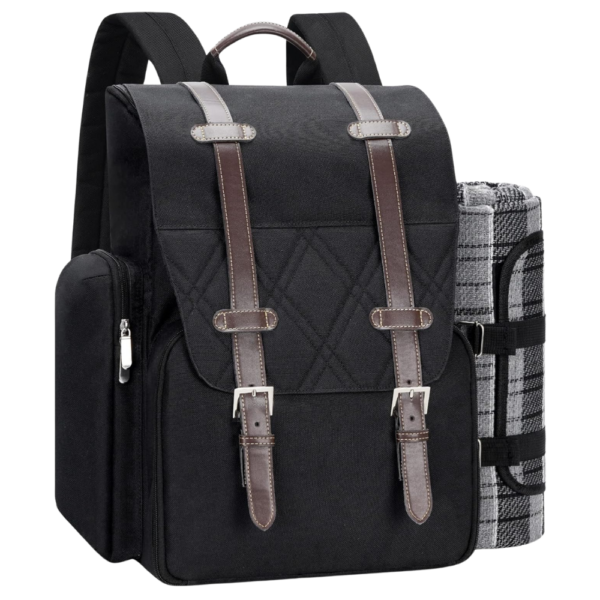 4-Person Insulated Cooler Picnic Backpack