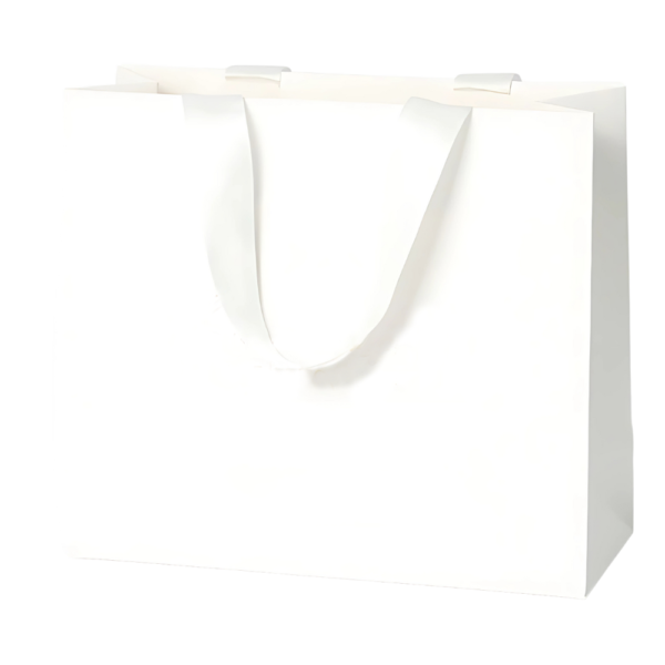 Matte Paper Gift Bag