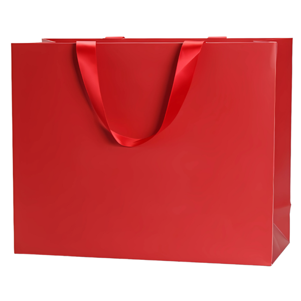 Spot UV Luxury Paper Bag